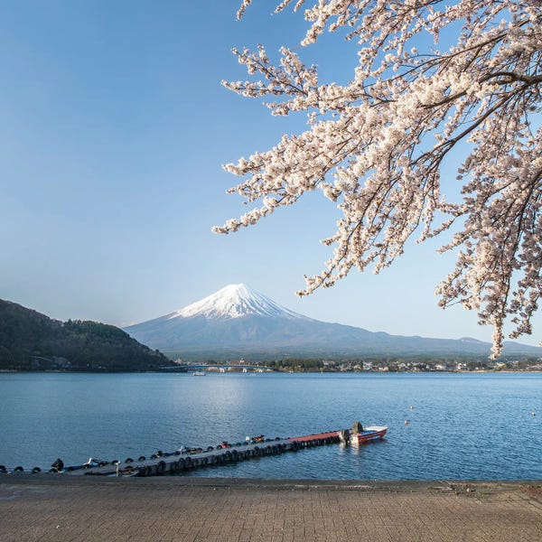 Japan: Mount Fuji In Spring, Lake Kawaguchiko, Japan by Jan Becke