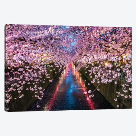 Nakameguro Cherry Blossom Festival, Tokyo Canvas Print #JNB1484} by Jan Becke Art Print
