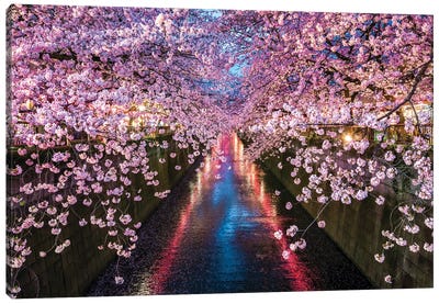 Nakameguro Cherry Blossom Festival, Tokyo Canvas Art Print - Tokyo Art