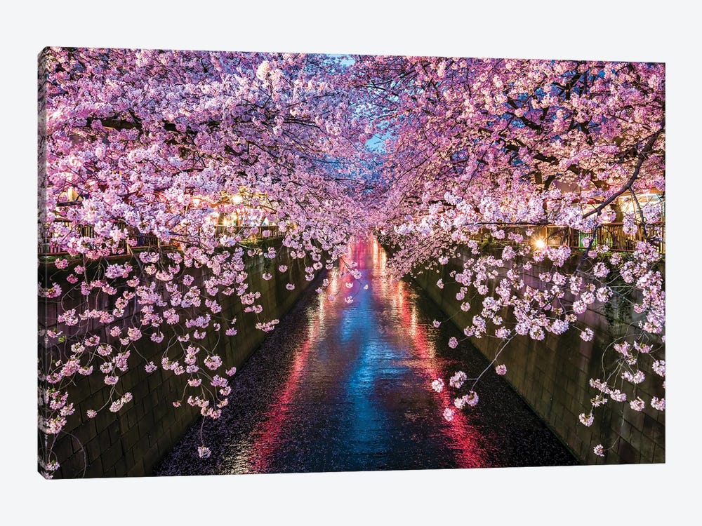 Nakameguro Cherry Blossom Festival, Tokyo by Jan Becke 1-piece Art Print