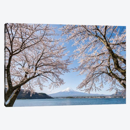 Mount Fuji In Spring With Cherry Blossom Tree, Lake Kawaguchiko, Japan Canvas Print #JNB1485} by Jan Becke Art Print