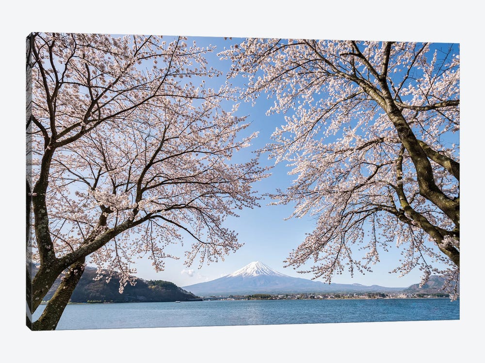 Mount Fuji In Spring With Cherry Blossom Tree, Lake Kawaguchiko, Japan by Jan Becke 1-piece Canvas Wall Art