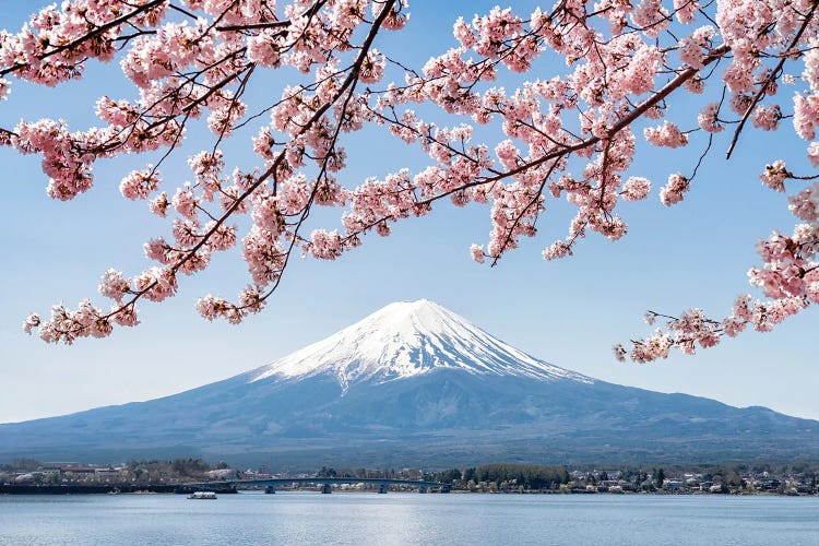 Mount Fuji In Spring At Lake Kawaguchiko by Jan Becke wall art