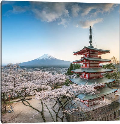 Chureito Pagoda And Mount Fuji During Cherry Blossom Season, Fujiyoshida, Japan Canvas Art Print