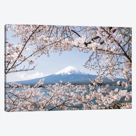 Mount Fuji In Spring With Cherry Blossom Tree Canvas Print #JNB1488} by Jan Becke Canvas Artwork