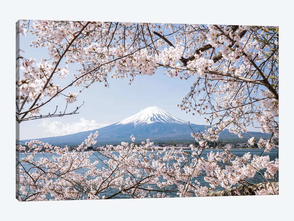 Mount Fuji In Spring With Cherry Blossom Tree by Jan Becke 1-piece Art Print