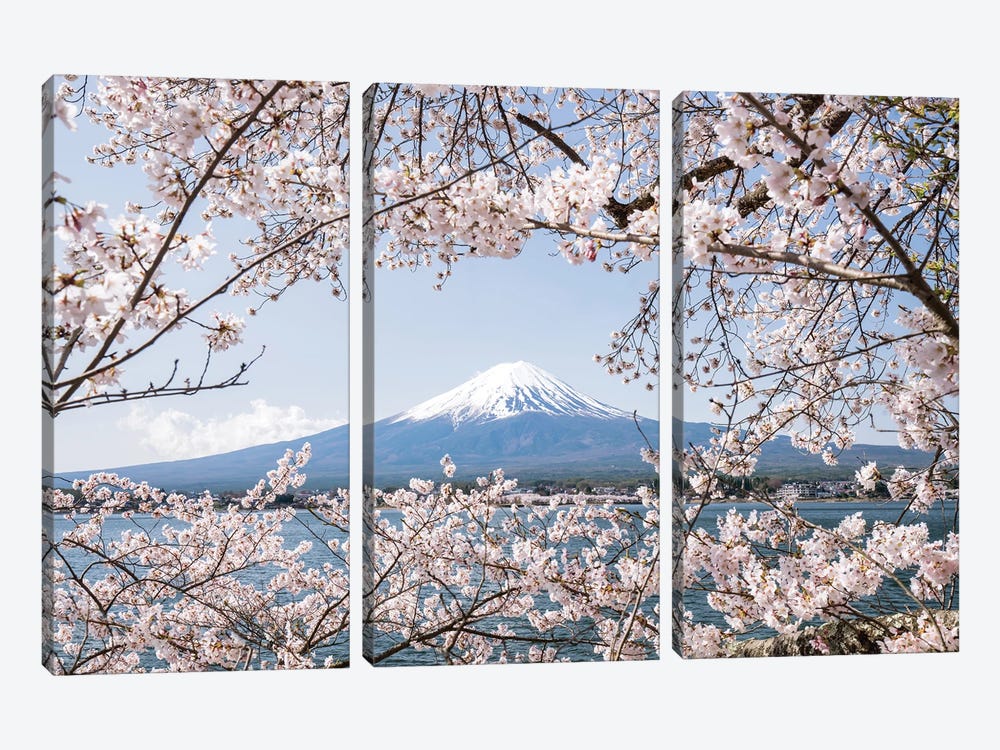 Mount Fuji In Spring With Cherry Blossom Tree by Jan Becke 3-piece Art Print