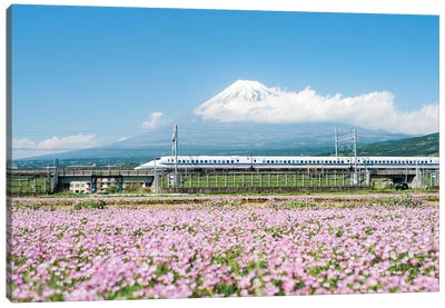 Tokaido Shinkansen Train Passing By Mount Fuji, Yoshiwara, Shizuoka Prefecture, Japan Canvas Art Print - Train Art