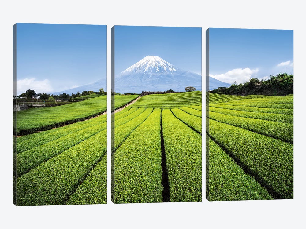 Mount Fuji And Green Tea Fields, Shizuoka Prefecture by Jan Becke 3-piece Canvas Wall Art