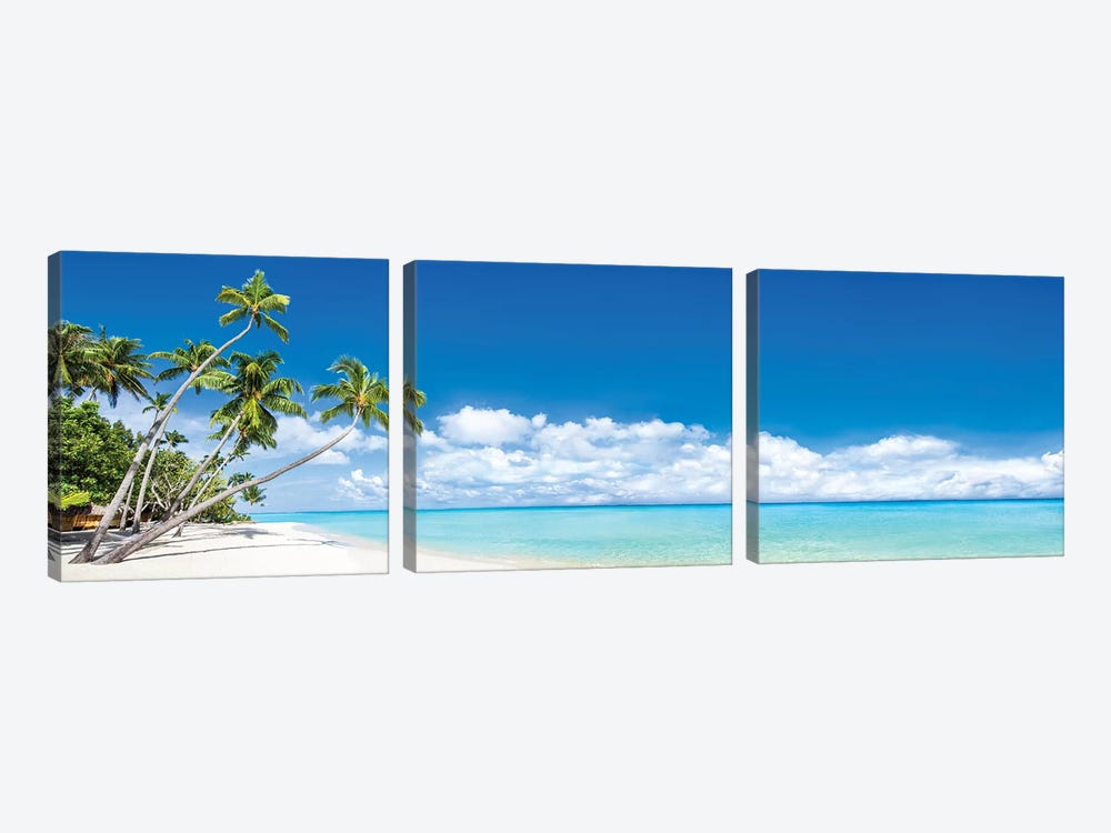 Beach Panorama With Palm Trees by Jan Becke 3-piece Canvas Print