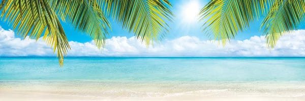Calm: Beach Panorama With Palm Branches by Jan Becke