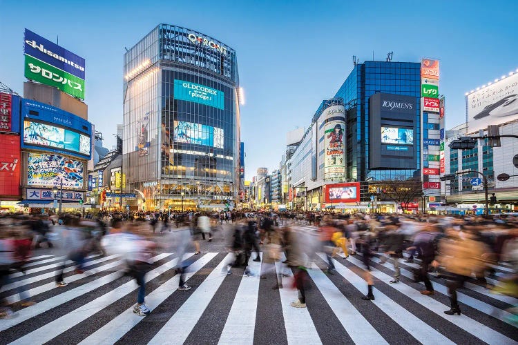 Shibuya Crossing In The Evening, Tokyo, Japan by Jan Becke wall art