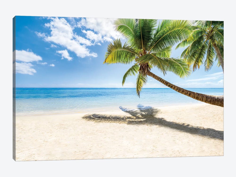 Lonely Palm Tree At The Beach by Jan Becke 1-piece Canvas Artwork