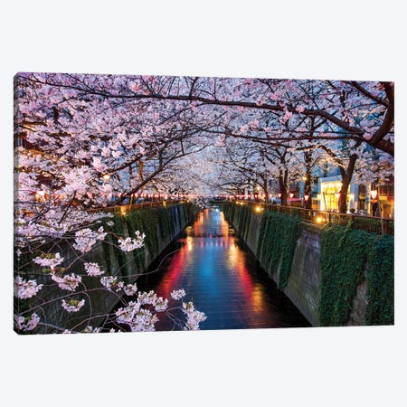 Nakameguro Cherry Blossom Festival At Night, Tokyo, Japan Canvas Print #JNB1541} by Jan Becke Canvas Print