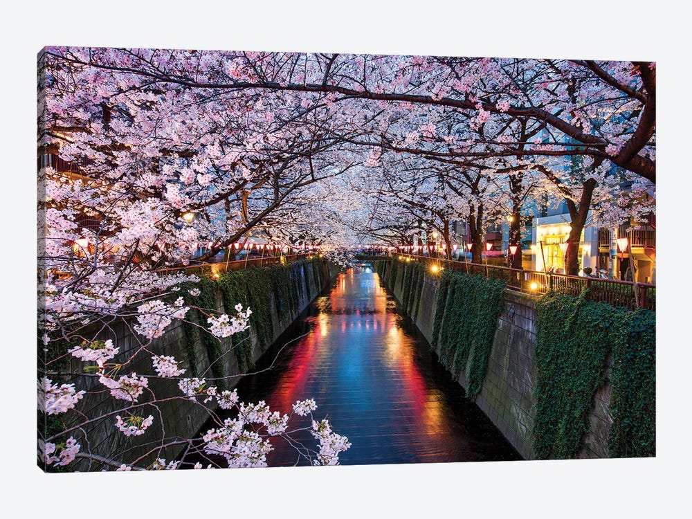 Nakameguro Cherry Blossom Festival At Night, Tokyo, Japan by Jan Becke 1-piece Canvas Print