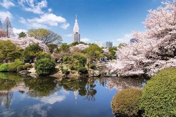 Tokyo: Shinjuku Gyoen In Spring, Tokyo, Japan by Jan Becke