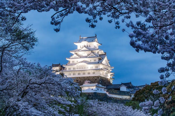 Japan: Himeji Castle At Night by Jan Becke