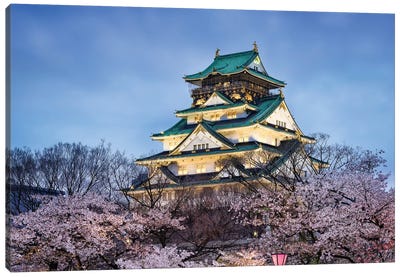 Osaka Castle In Spring Canvas Art Print
