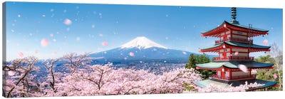 Chureito Pagoda And Mount Fuji During Cherry Blossom Season Canvas Art Print - Mountain Art - Stunning Mountain Wall Art & Artwork