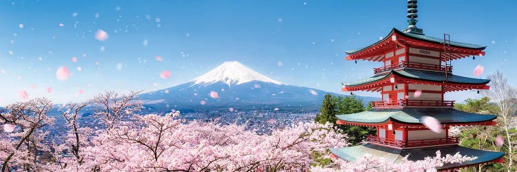 Chureito Pagoda And Mount Fuji During Cherry Blossom Season