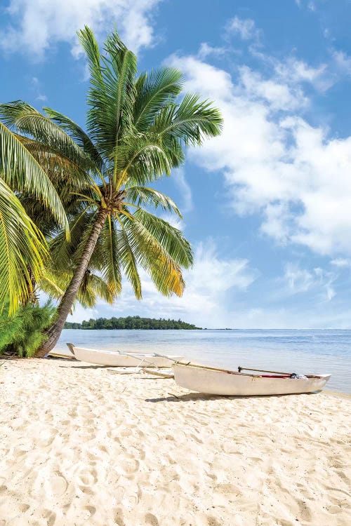 Tropical Paradise On Bora Bora