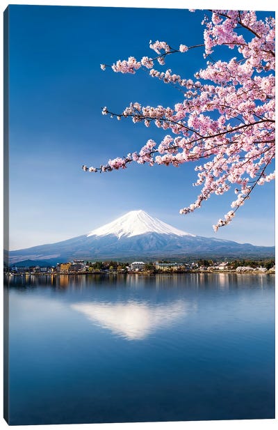 Cherry Blossom And Mount Fuji At Lake Kawaguchiko, Japan Canvas Art Print - Asia Art
