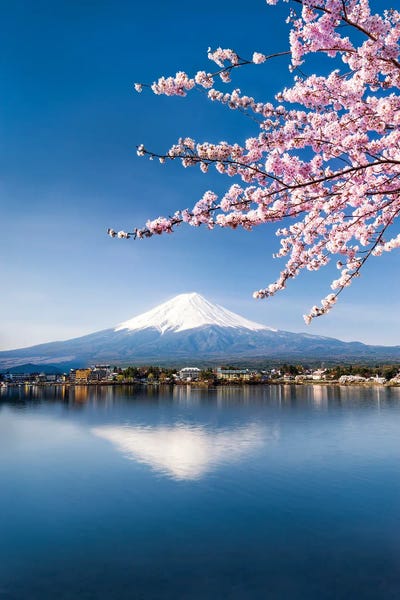Mt.Fuji: Cherry Blossom And Mount Fuji At Lake Kawaguchiko, Japan by Jan Becke