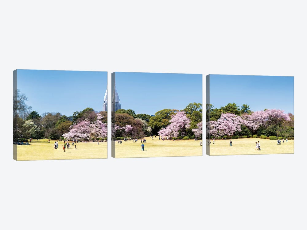 Shinjuku Gyoen Panorama In Spring by Jan Becke 3-piece Art Print