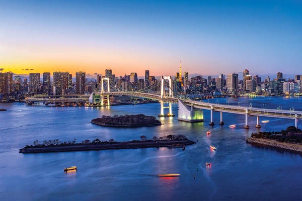 Tokyo: Rainbow Bridge And Tokyo Tower, Odaiba, Tokyo, Japan by Jan Becke