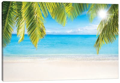 Sunny Beach With Palm Branches Canvas Art Print - Tropical Beach Art