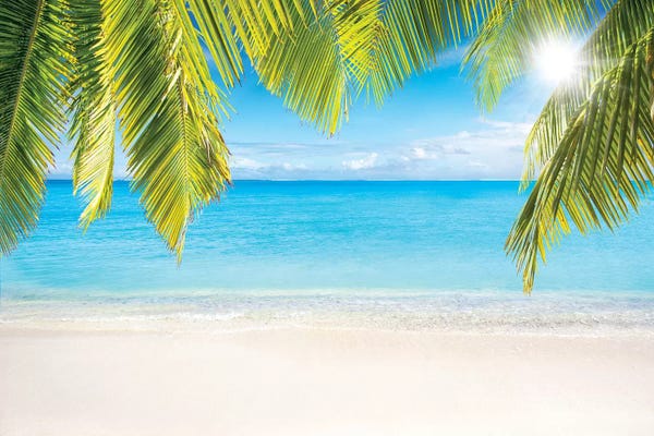 Sunny Beach With Palm Branches