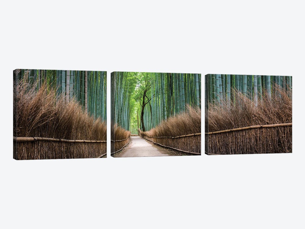 Panoramic View Of The Arashiyama Bamboo Forest, Kyoto, Japan by Jan Becke 3-piece Canvas Wall Art