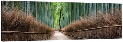 Panoramic View Of The Arashiyama Bamboo Forest, Kyoto, Japan Canvas Art Print - Trail, Path & Road Art