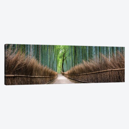 Panoramic View Of The Arashiyama Bamboo Forest, Kyoto, Japan Canvas Print #JNB1597} by Jan Becke Canvas Art Print