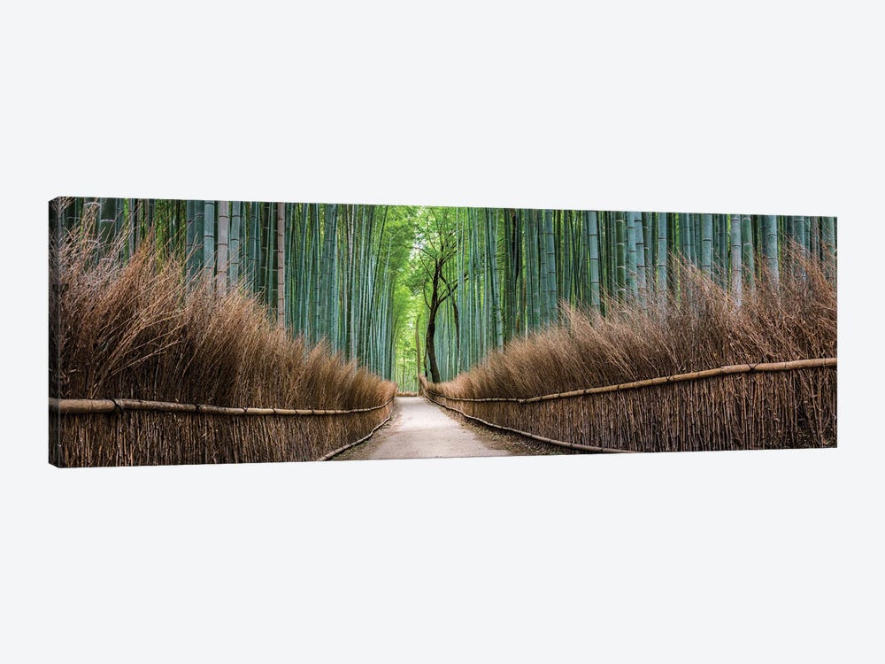 Panoramic View Of The Arashiyama Bamboo Forest, Kyoto, Japan by Jan Becke 1-piece Canvas Wall Art