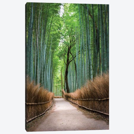 Arashiyama Bamboo Forest In Kyoto, Japan Canvas Print #JNB1598} by Jan Becke Canvas Wall Art
