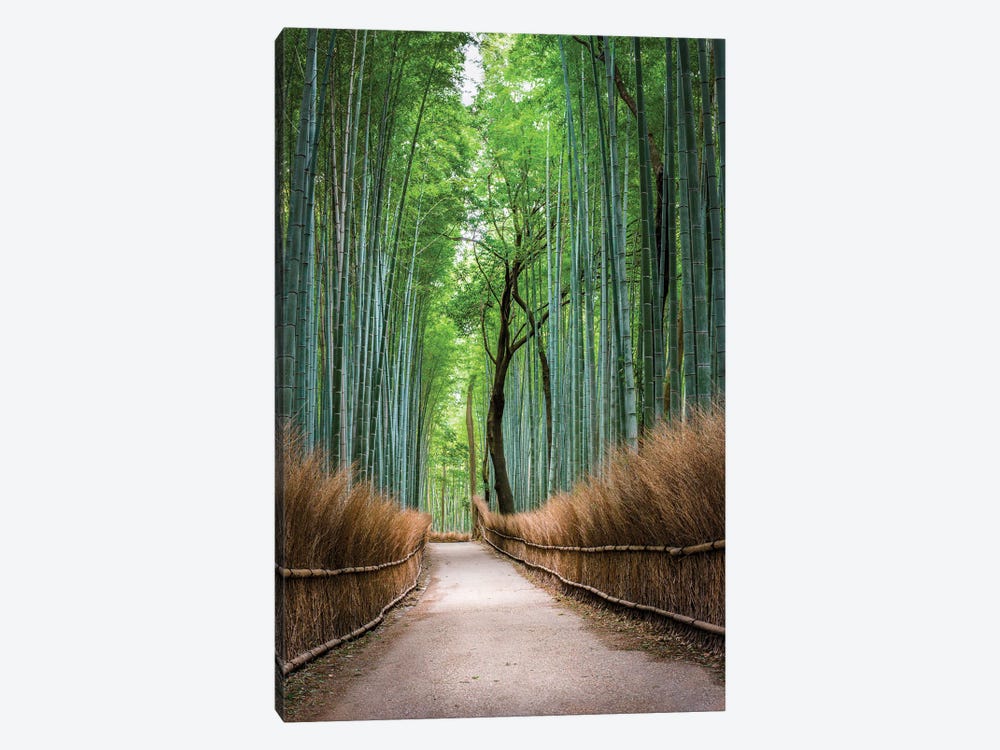 Arashiyama Bamboo Forest In Kyoto, Japan by Jan Becke 1-piece Canvas Art Print