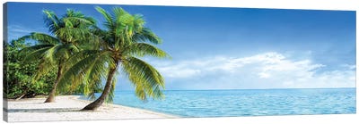 Tropical Beach Panorama With Palm Trees Canvas Art Print - 3-Piece Beach Art