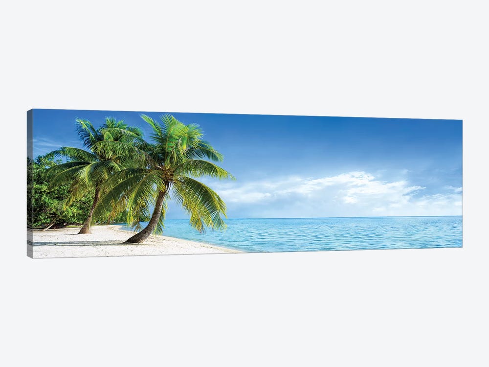 Tropical Beach Panorama With Palm Trees by Jan Becke 1-piece Canvas Artwork