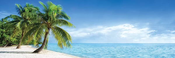 Large Photography - Canvas Prints: Tropical Beach Panorama With Palm Trees by Jan Becke