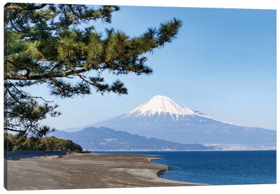 Mount Fuji Seen From Miho No Matsubara Beach, Shizuoka, Japan Canvas Art Print