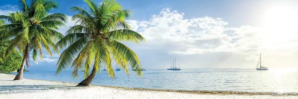 Calm: Beach Panorama In The South Sea On Bora Bora by Jan Becke