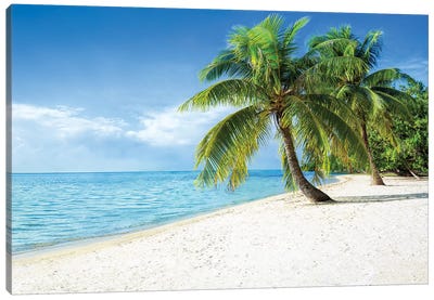 Tropical Paradise In The South Sea, Bora Bora Atoll Canvas Art Print - Palm Tree Art