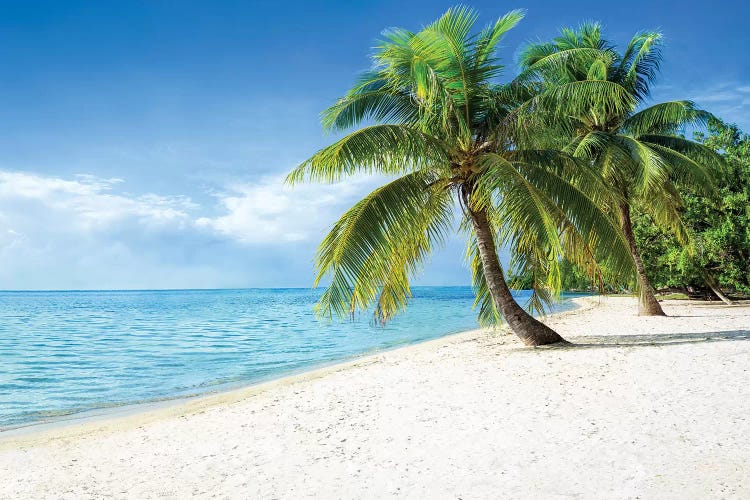 Tropical Paradise In The South Sea, Bora Bora Atoll