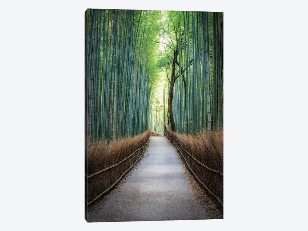 Arashiyama Bamboo Forest, Kyoto by Jan Becke 1-piece Art Print