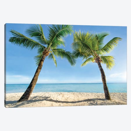 Two Palm Trees At The Beach Canvas Print #JNB162} by Jan Becke Canvas Artwork