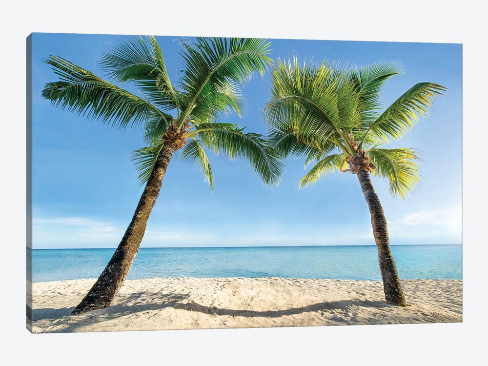 Two Palm Trees At The Beach by Jan Becke 1-piece Canvas Art