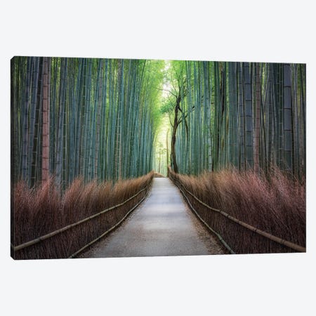 Mysterious Arashiyama Bamboo Forest Canvas Print #JNB1631} by Jan Becke Canvas Print