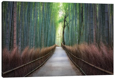 Mysterious Arashiyama Bamboo Forest Canvas Art Print - Arashiyama Bamboo Forest
