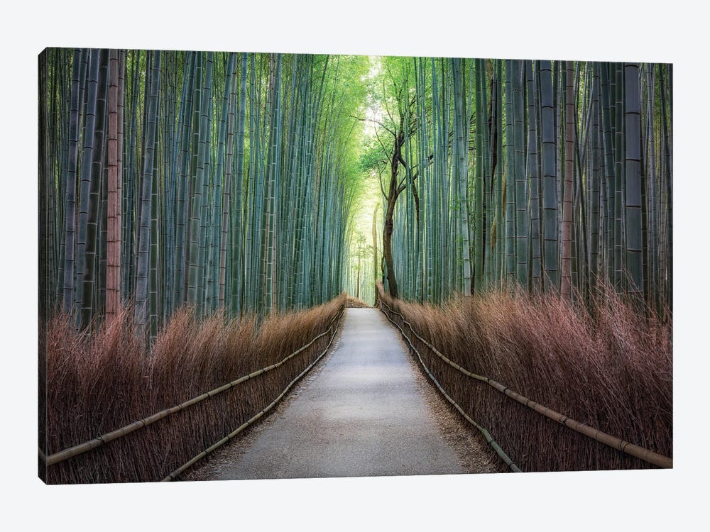 Mysterious Arashiyama Bamboo Forest by Jan Becke 1-piece Canvas Artwork